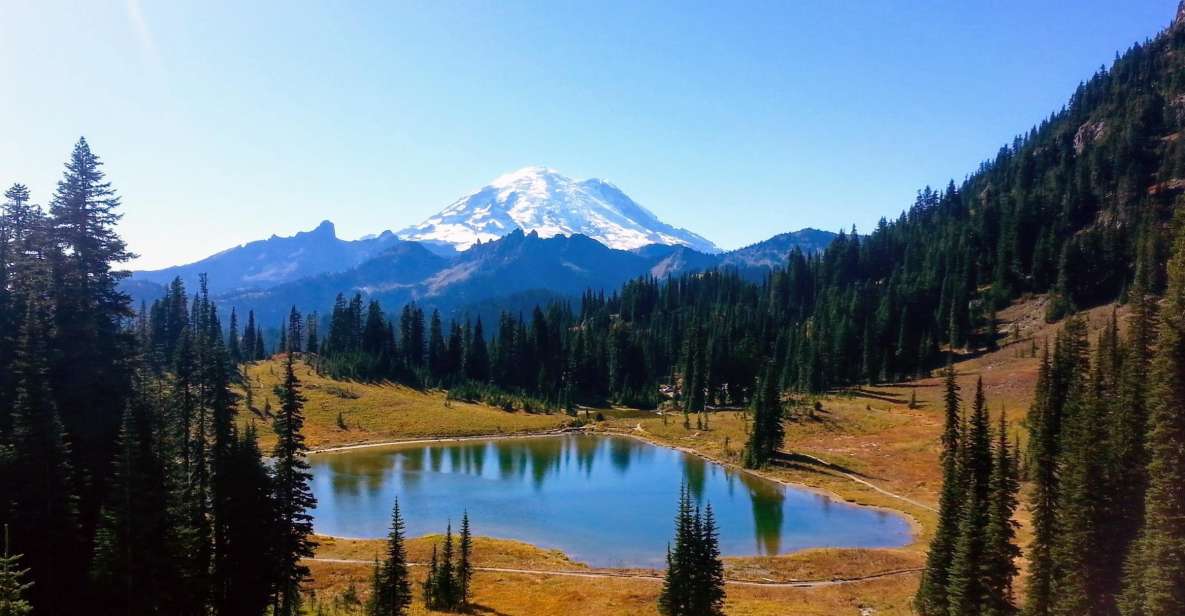 Seattle All-Inclusive: Hike Mt. Rainier and Wine Tasting - Key Points