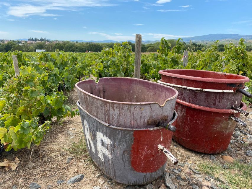 Self-Guided Day-Trip by Train to the Beaujolais (From Lyon) - Key Points