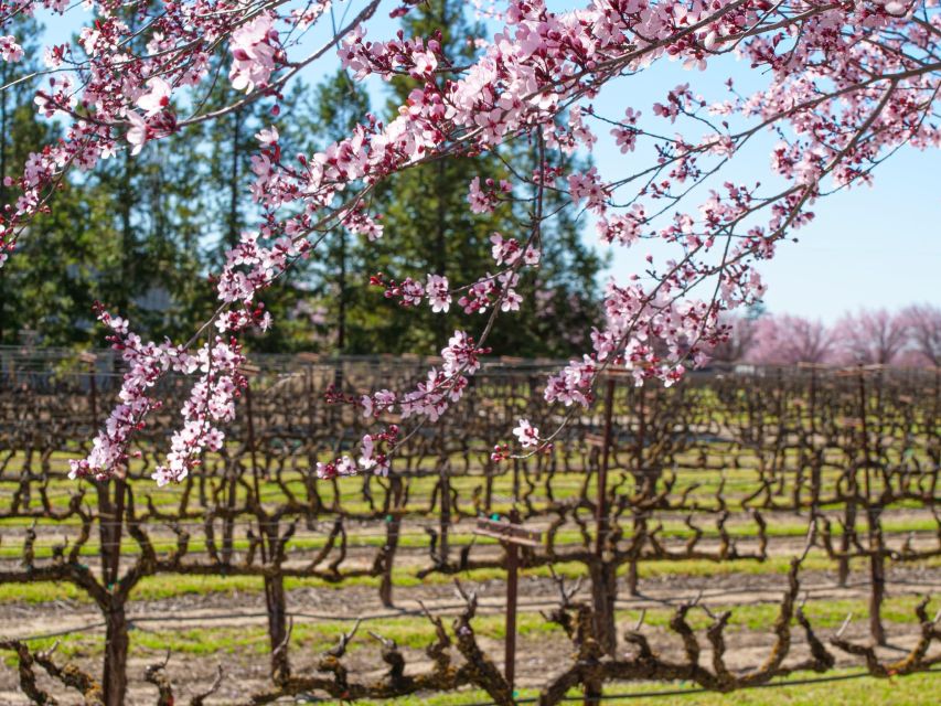 Self-Guided Wine Tasting Audio Tour - Lodi California - Key Points