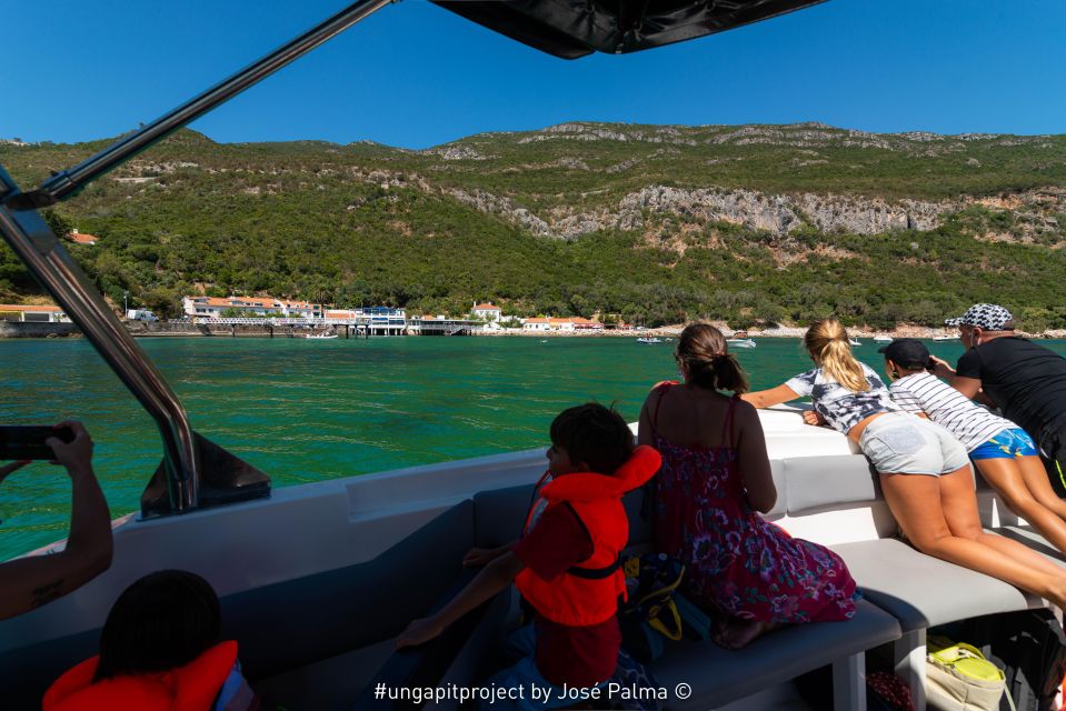 Setúbal: Dolphin Watching - Key Points