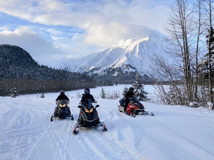 Seward: Kenai Fjords National Park Guided Snowmobiling Tour - Key Points