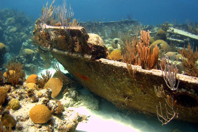 Shipwreck Snorkel in Bermuda - Key Points