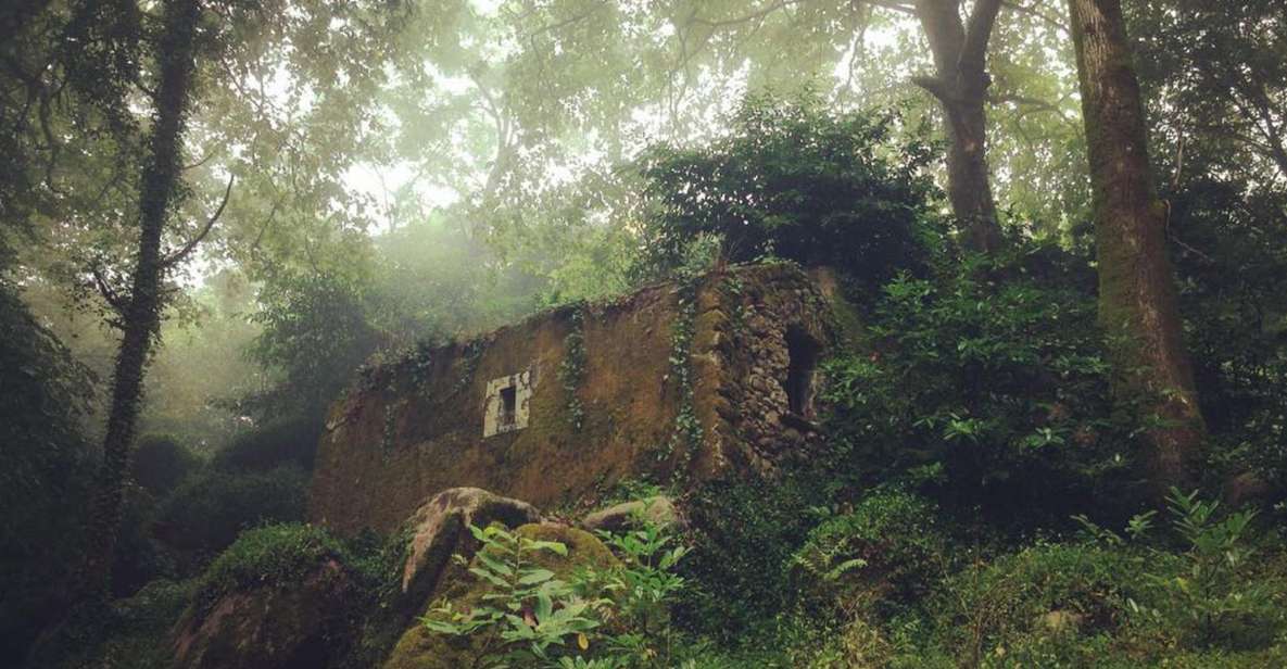 Sintra Guided Visit: Life and Death at the Capuchos Convent - Key Points