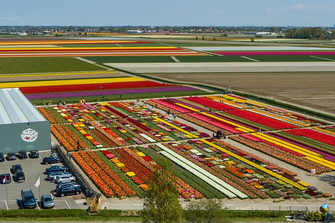 Skip-The-Line Keukenhof Gardens Sighseeing Tour From Amsterdam - Key Points