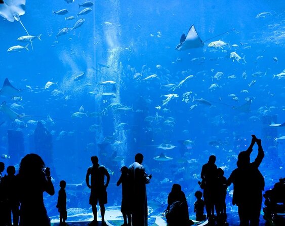 Skip the Line: Lost Chambers Entry at Atlantis The Palm Ticket - Key Points