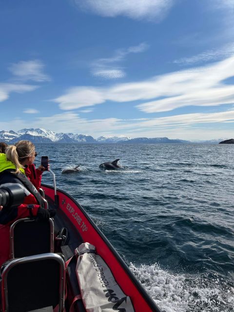 Skjervøy: Birds and Wildlife of Arctic Norway - Key Points