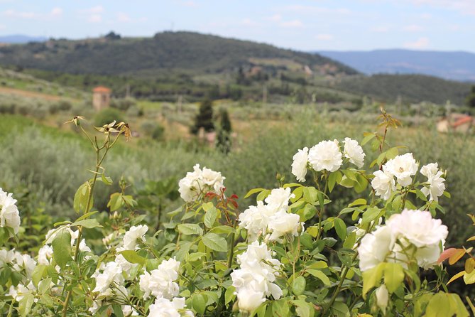 Small Group Chianti Tradition Wine Tour (max 8 Pp) Key Points