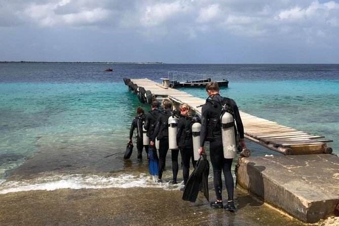 Small Group Diving Experience in Caribbean - Overview of the Experience