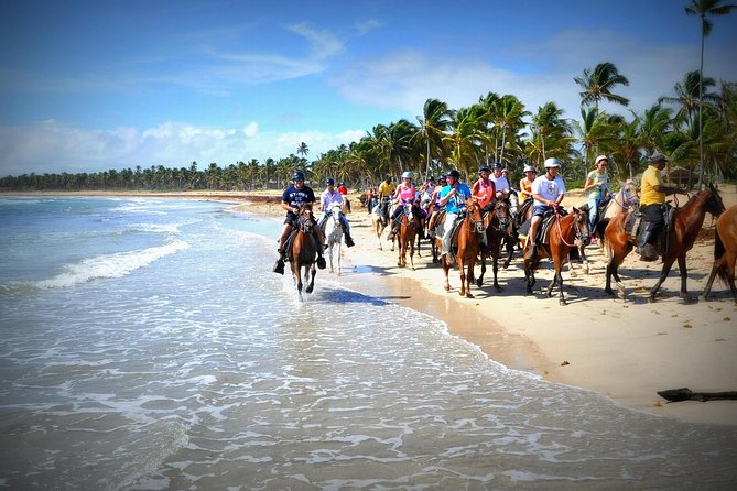 Small-Group Half-Day Horseback Riding Tour From Punta Cana - Key Points