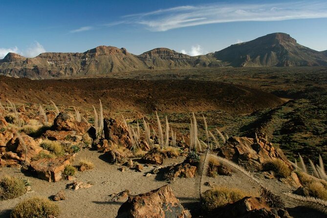 Small-Group Half-Day Tour of Teide National Park With Pickup - Key Points