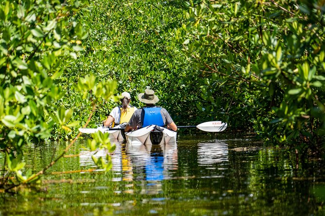 Small Group Kayak Adventure in the Cayman Islands - Key Points