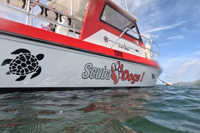 Small-Group Snorkeling Boat Trip in Guánica, Puerto Rico - Inclusions