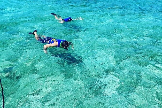 Small Group Snorkeling Experience At Sea Garden Overview And Experience