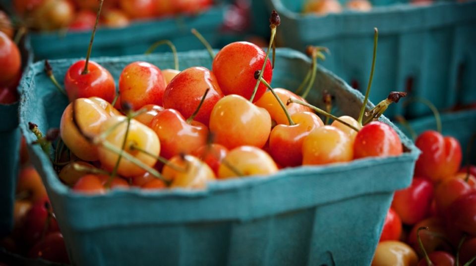 Snack Safari in Pike Place Market - Key Points