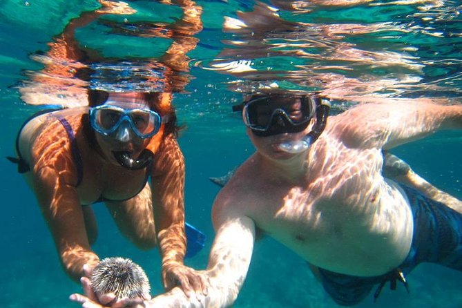 Snorkel Tour - Key Points