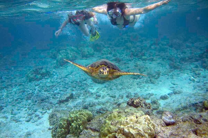 Snorkeling Experience in Santa Maria Bay by Boat - Key Points