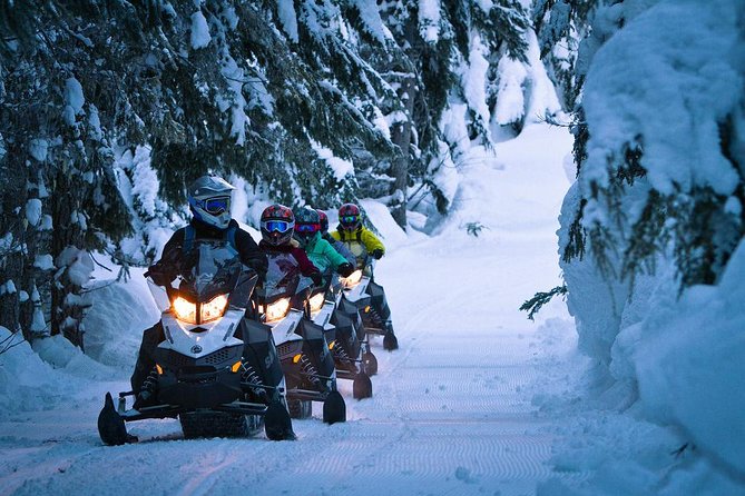 Snowmobile Tours in Whistler - Key Points