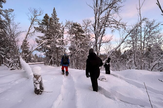 Snowshoe in a Winter Forest - Key Points