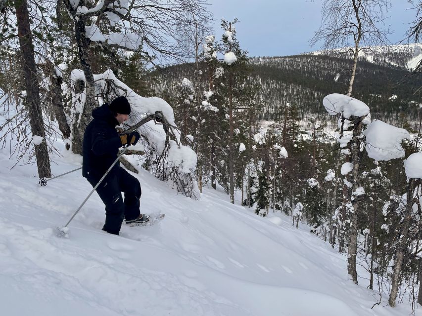 Snowshoeing in Levi - Key Points