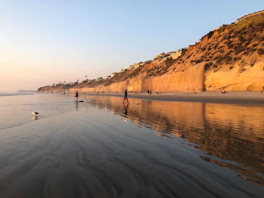 Solana Beach: Full Day Skimboard Rental - Key Points