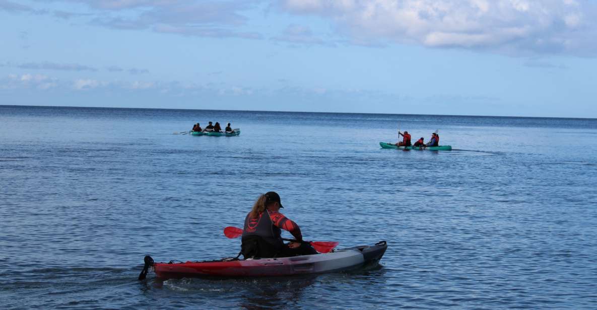 South Maui: Auau Channel Kayak and Snorkel Adventure - Key Points