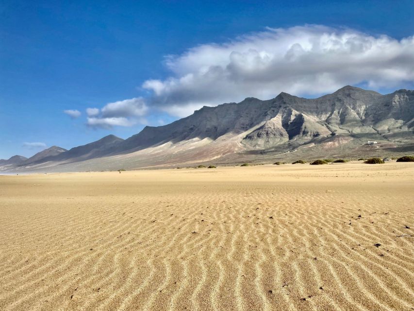 Southern Fuerteventura: Cofete Beach and Desert Safari - Key Points