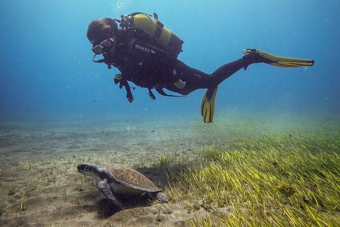 SSI Open Water, South Tenerife - Key Points