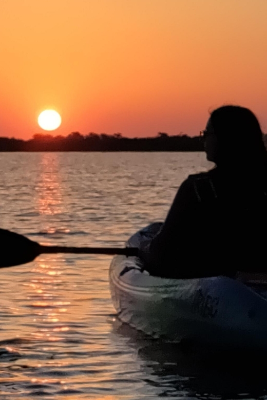 St. Augustine: Kayaking Sunrise Tour - Key Points