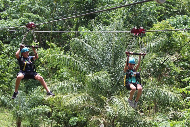 St. Kitts Zipline Experience - Key Points