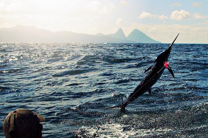 St Lucia Sport Fishing Tour - Key Points