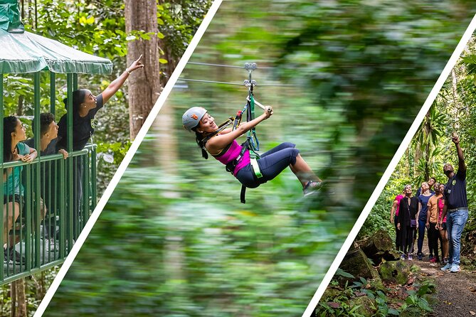 St Lucia Ultimate 3: Aerial Tram, Zipline and Hiking at Rainforest Adventures - Key Points