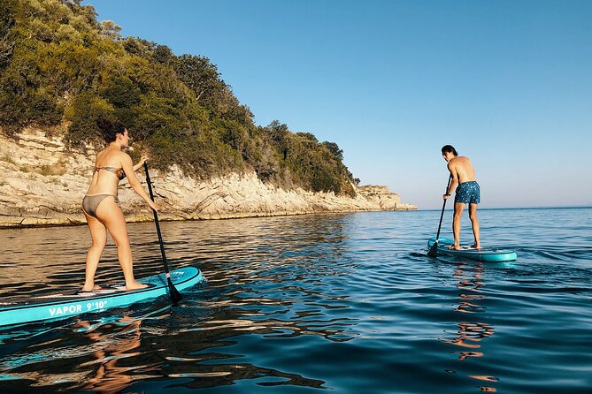 Stand Up Paddle Experience - Sorrento Coast - Key Points