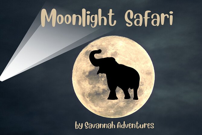 Stargazing Safari - Key Points