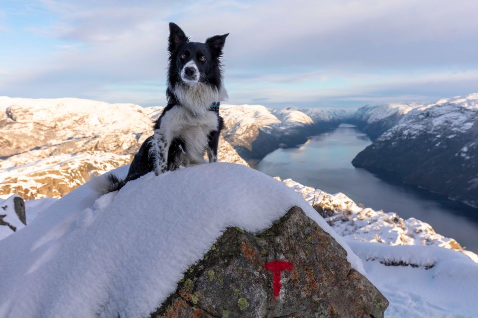 Stavanger: Pulpit Rock Winter Hike - Key Points