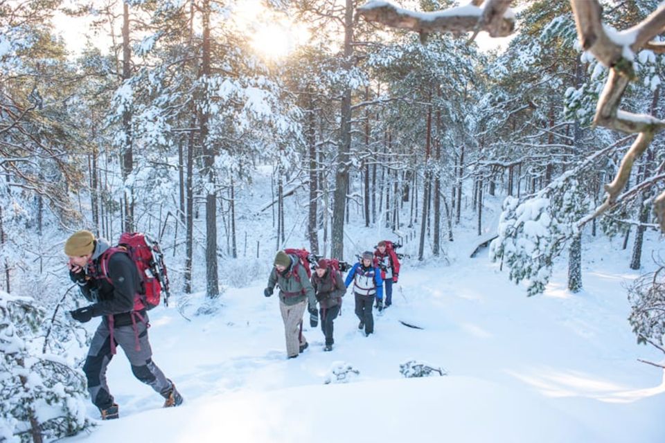 Stockholm: Winter Snowshoe Full-Day Hike - Key Points