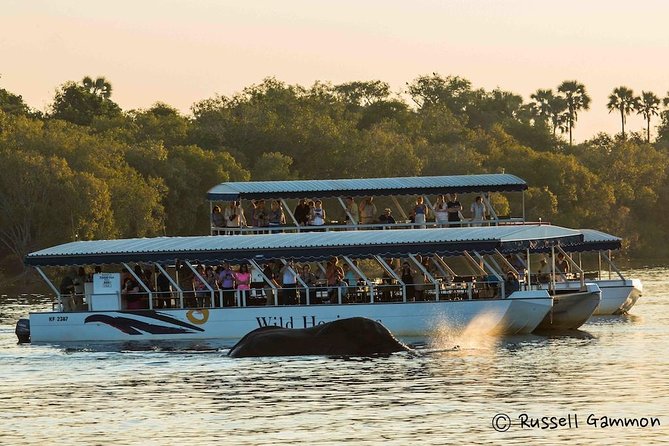 Sundowner Cruise on Zambezi River (Zimbabwe) - Key Points