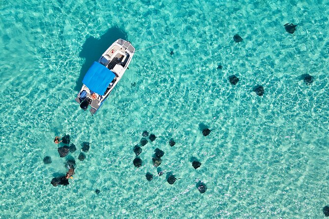 Sunrise at Stingray City, Private Tour - Key Points