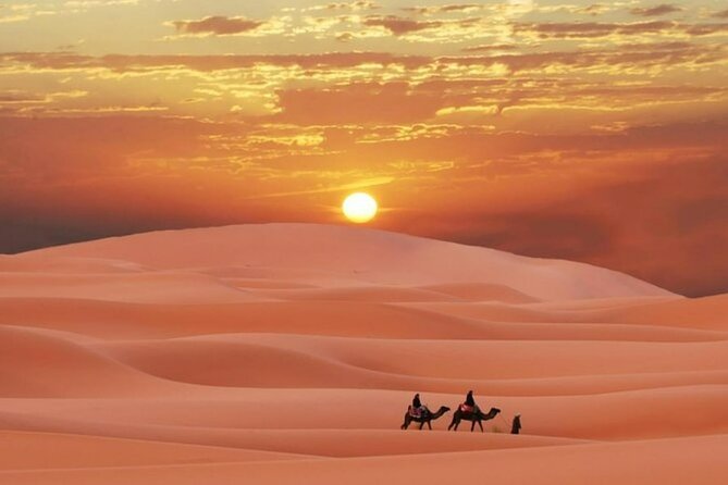 Sunrise or Sunset , Desert Safari Tour in Heart of Qatar - Key Points