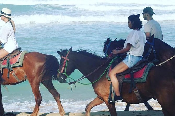 Sunset Beach Horsebackriding Punta Cana - Key Points