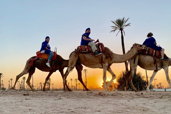 Sunset Camel Ride in the Palm Grove of Marrakech - Overview