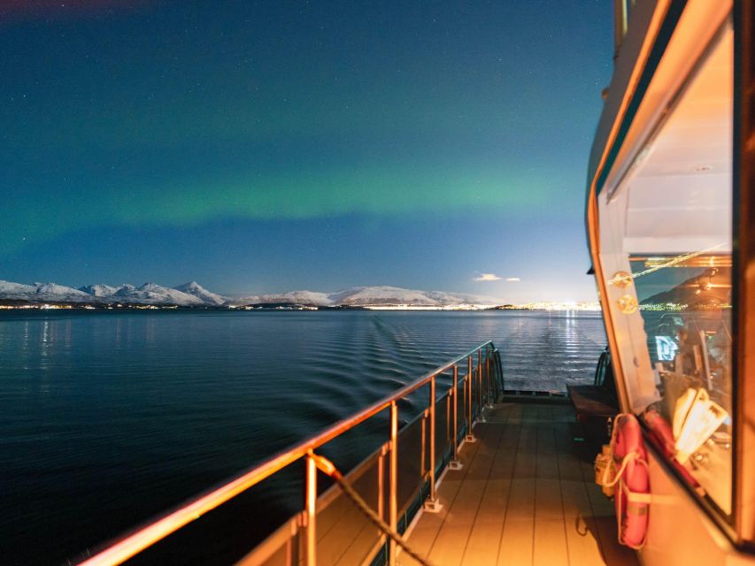 Svolvær: Northern Lights and Full Steam Cruise With Tasting - Key Points