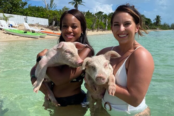 Swim With the Pigs and Explore Caves in Nassau - Key Points