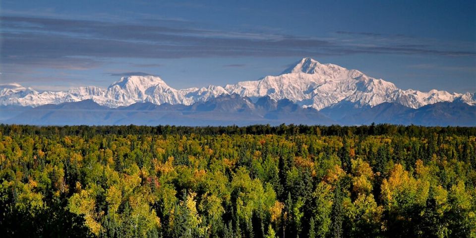 Talkeetna: Zipline Tour - Key Points