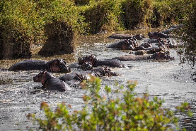 Tarangire, Ngorongoro & Lake Manyara Park 3 Days Private Tour Tour Overview