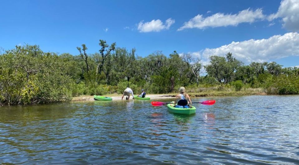 Tarpon Springs: Guided Anclote River Kayaking Tour - Key Points