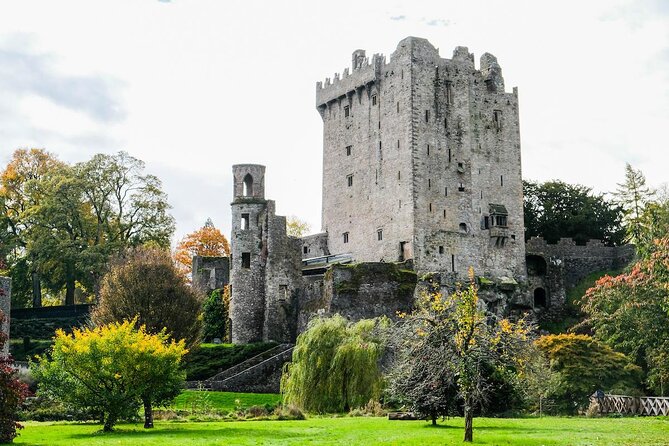 Taxi Tour to Blarney Castle, Cork City and Kinsale - Key Points