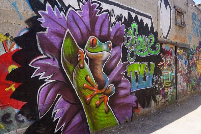 Tel Aviv Street Art & Graffiti Tour - Key Points