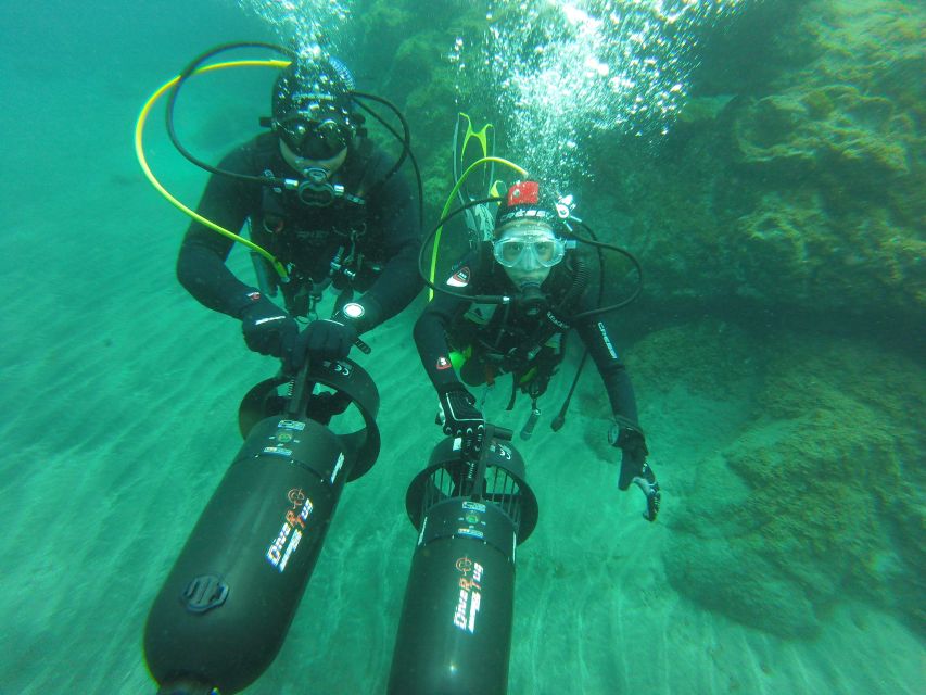 Tenerife: Full-Day The Best Dives for Certified Divers - Key Points