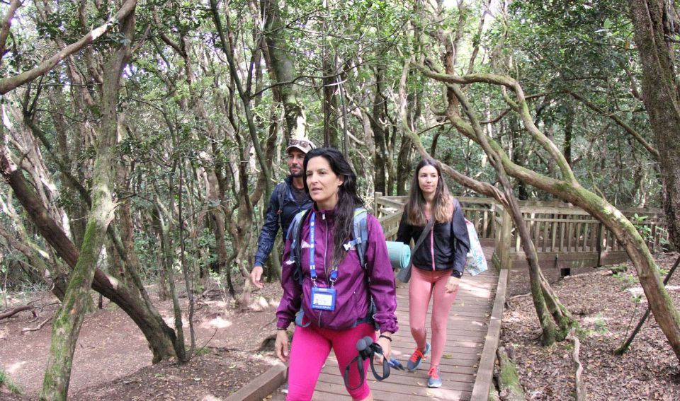 Tenerife: Guided Mindful Hike in Anaga Biosphere Reserve - Key Points