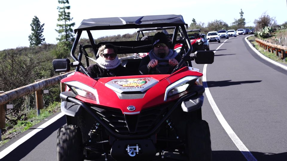 Tenerife: Teide National Park Guided Buggy Tour - Key Points